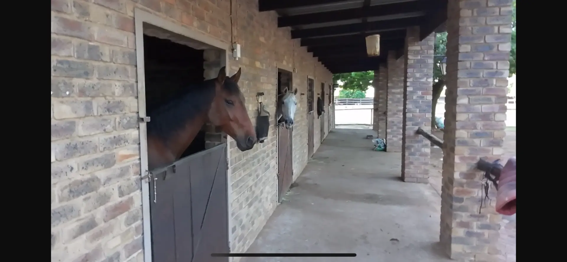 Horses looking out over their stable doors along the Thembelani Equestrian walkway