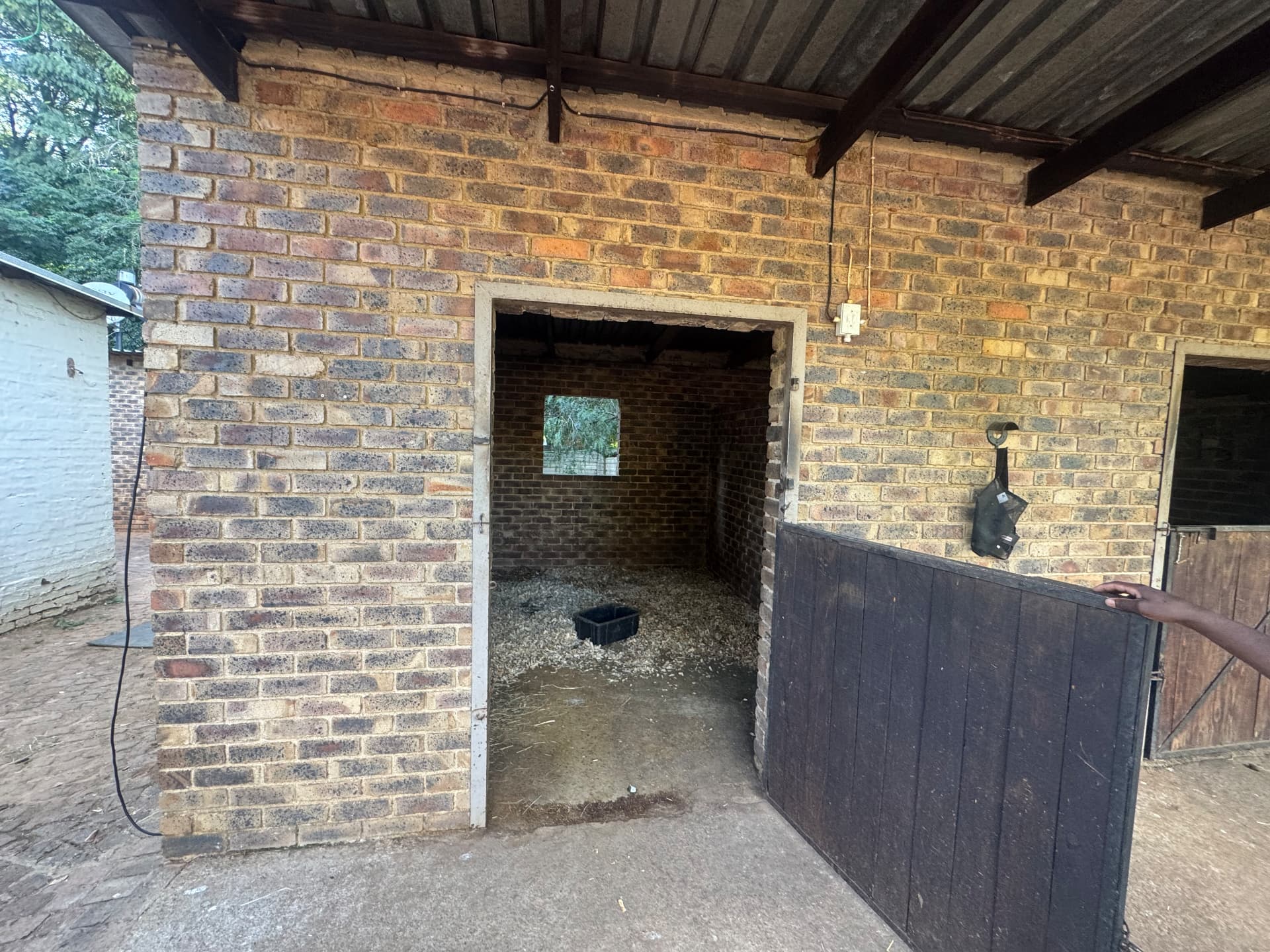 Fresh shavings and clean bedding in a stable box