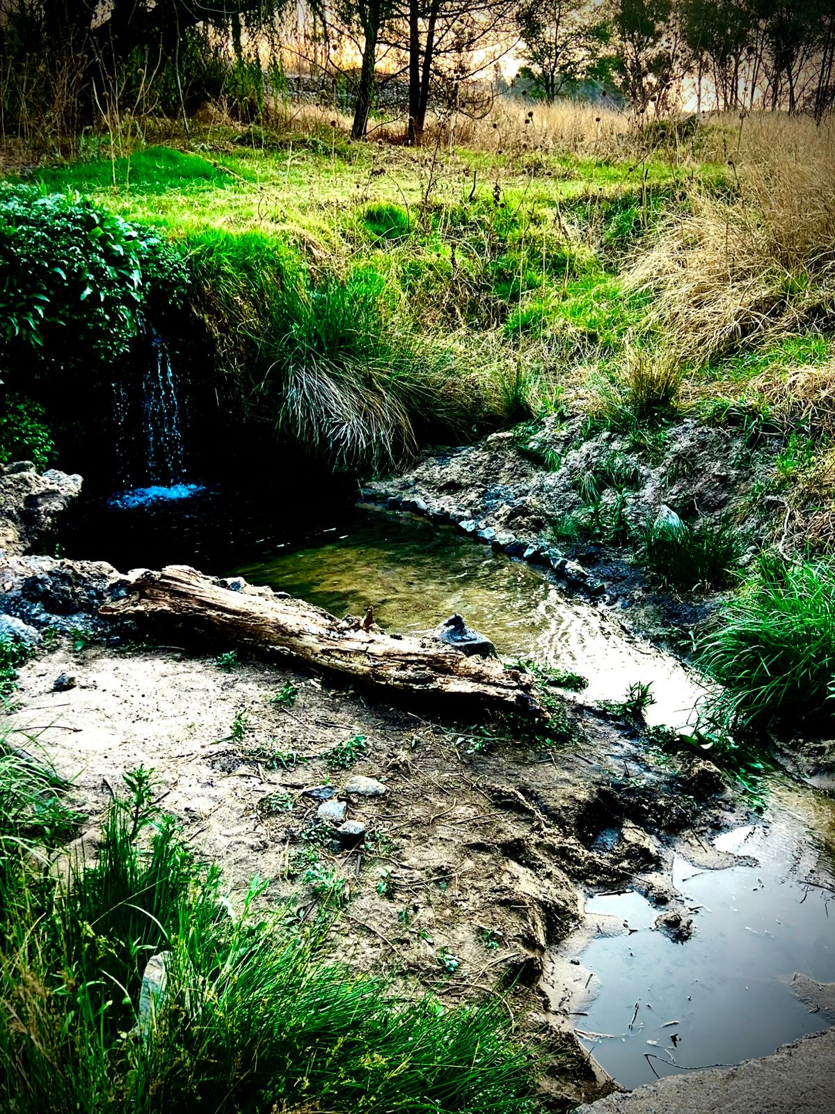 A small waterfall and stream along the trail route